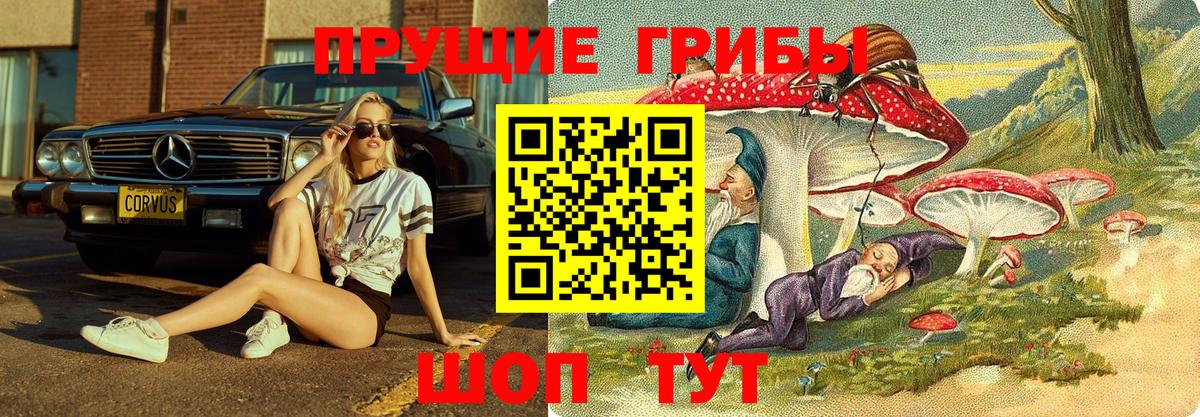 Каменск-Шахтинский  Псилоцибиновые грибы Psilocybe  Вход с VPN 