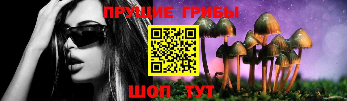 Псилоцибиновые грибы GOLDEN TEACHER Каменск-Шахтинский